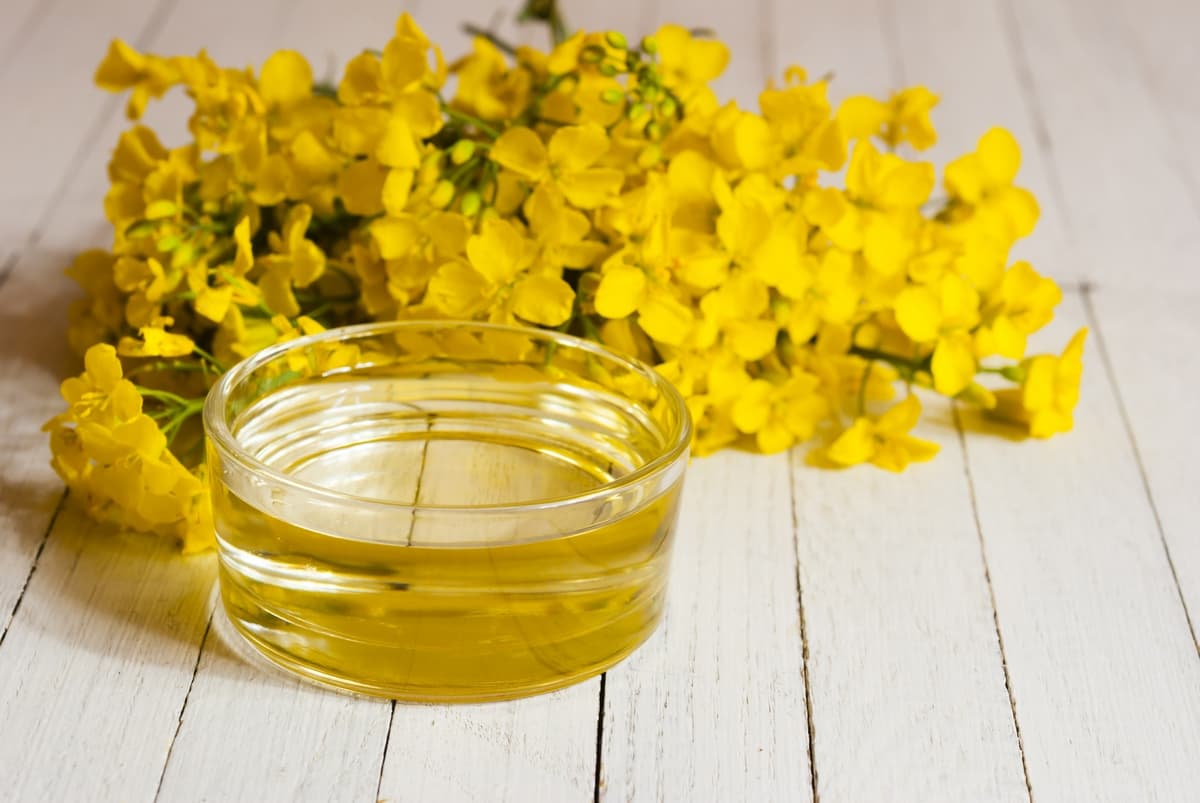 Crude rapeseed oil with best price and big quantity
